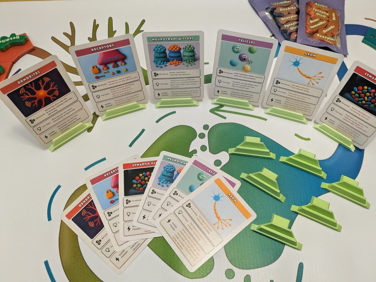 NeuroSnap – Synapse Puzzle: Educator's Kit
