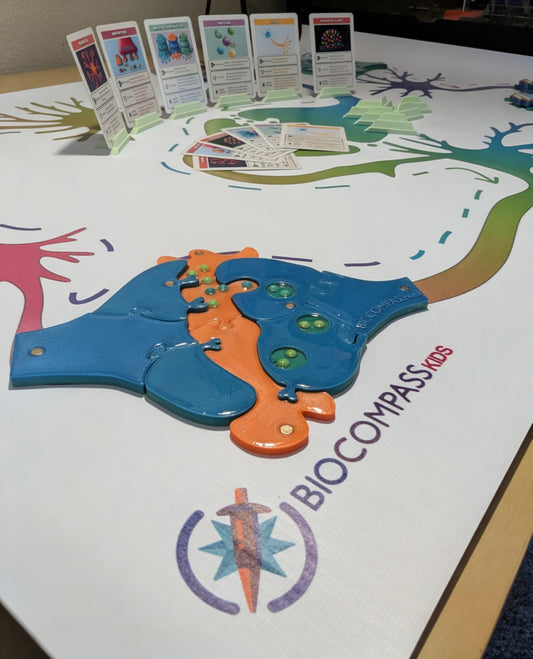 NeuroSnap – Synapse Puzzle: Educator's Kit