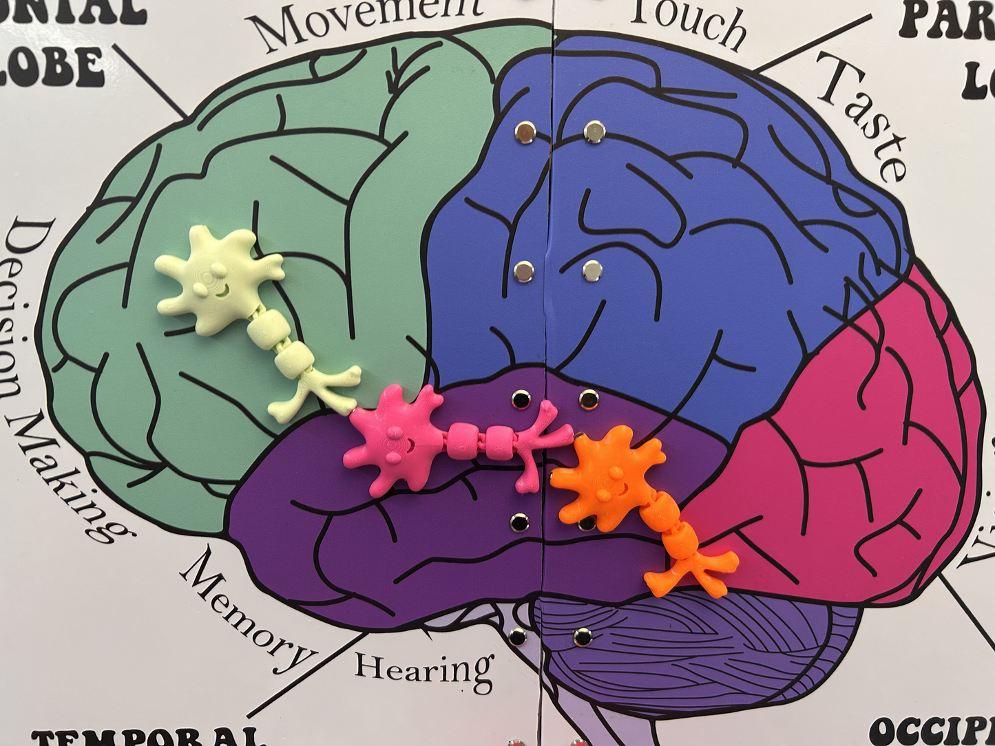 Nerbie the Neuron (2-Pack)
