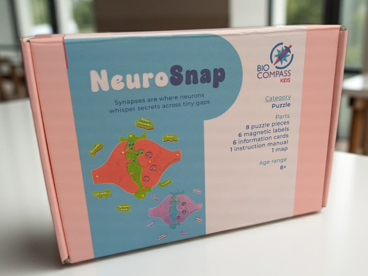 NeuroSnap educational puzzle to learn about Neurons and