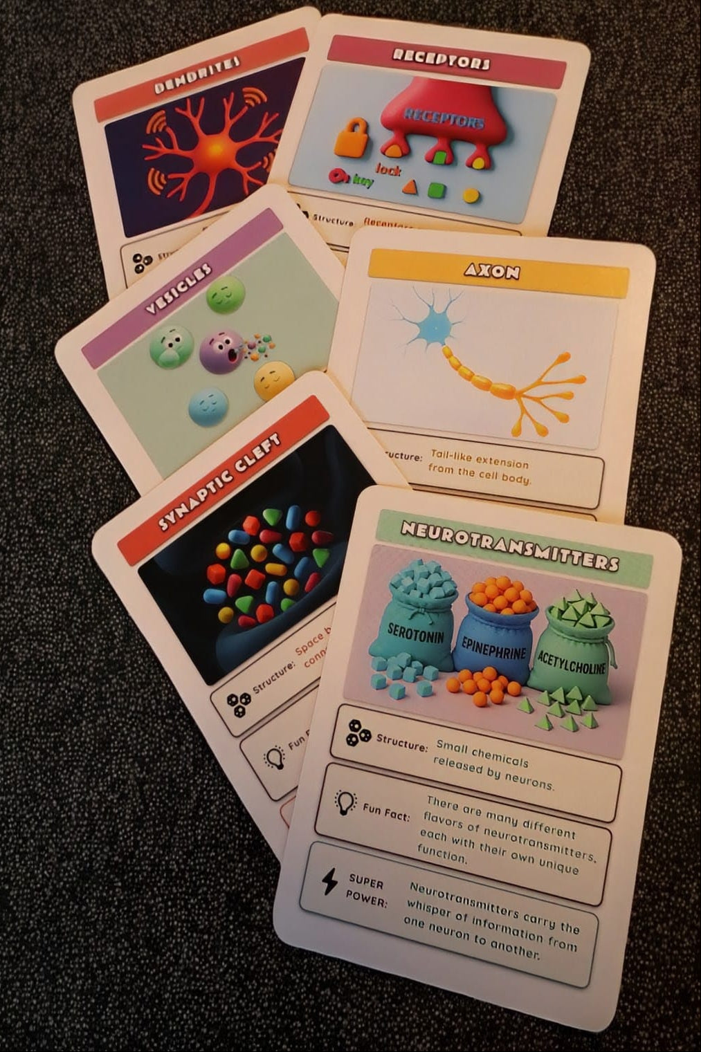 Collection of educational cards on a dark surface
