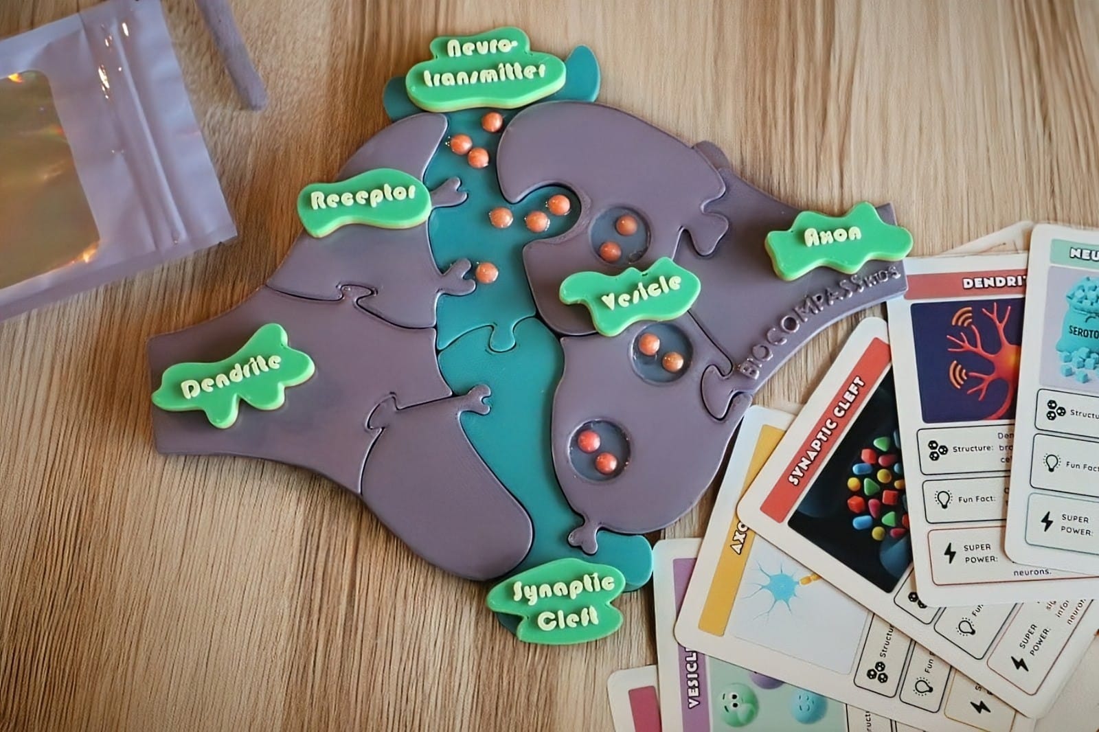Neuroscience-themed puzzle on a wooden surface with educational cards.