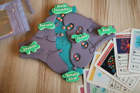 Neuroscience-themed puzzle on a wooden surface with educational cards.